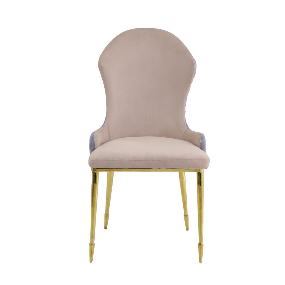 Caolan Side Chair (Set-2)