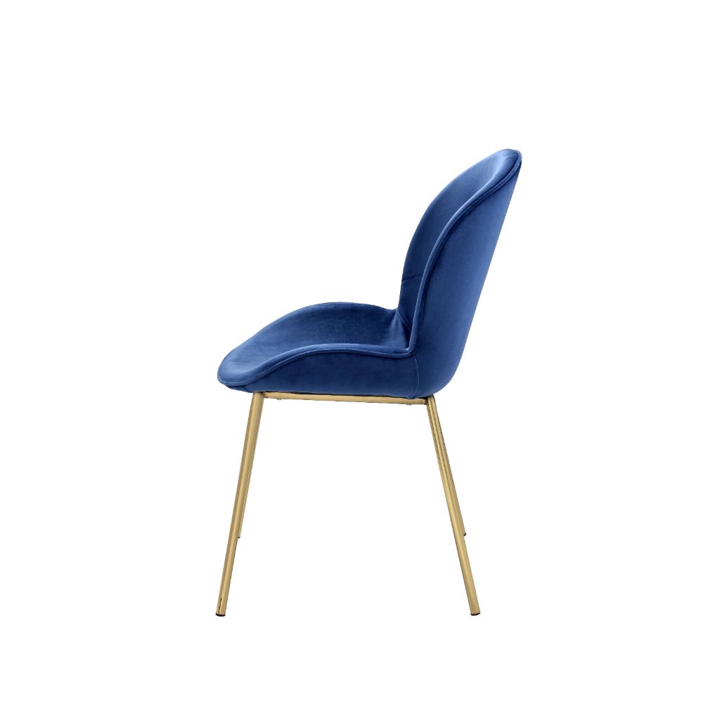 Chuchip Side Chair (Set-2)