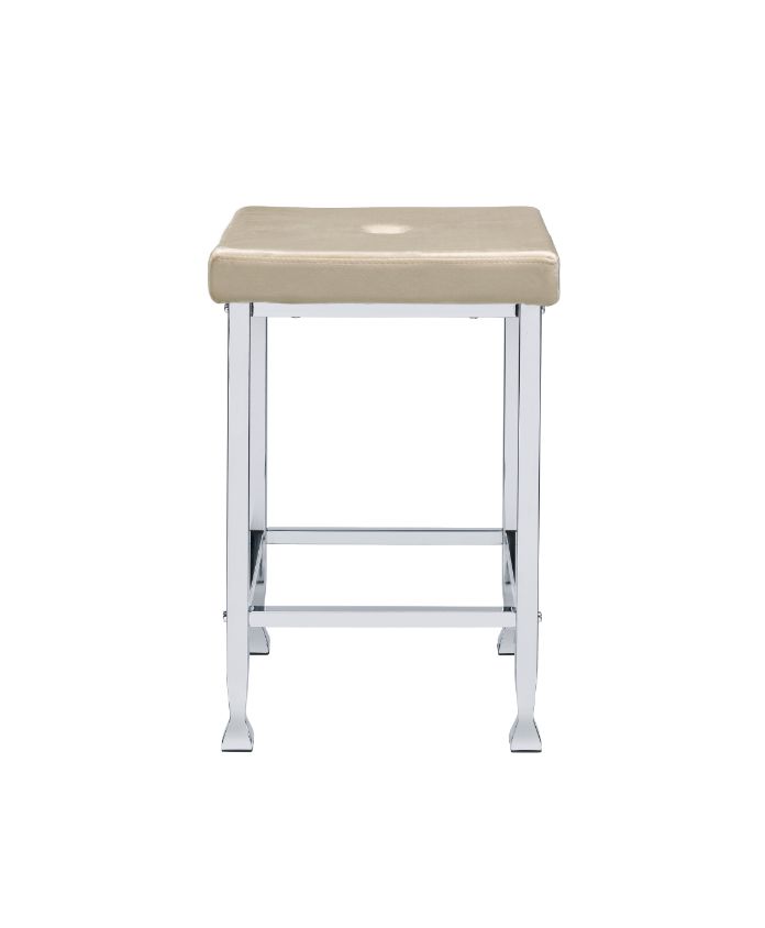 Raine Counter Height Stool (Set-2)