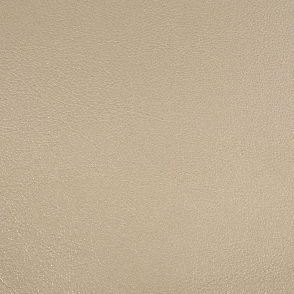 Danae Side Chair (Set-2)