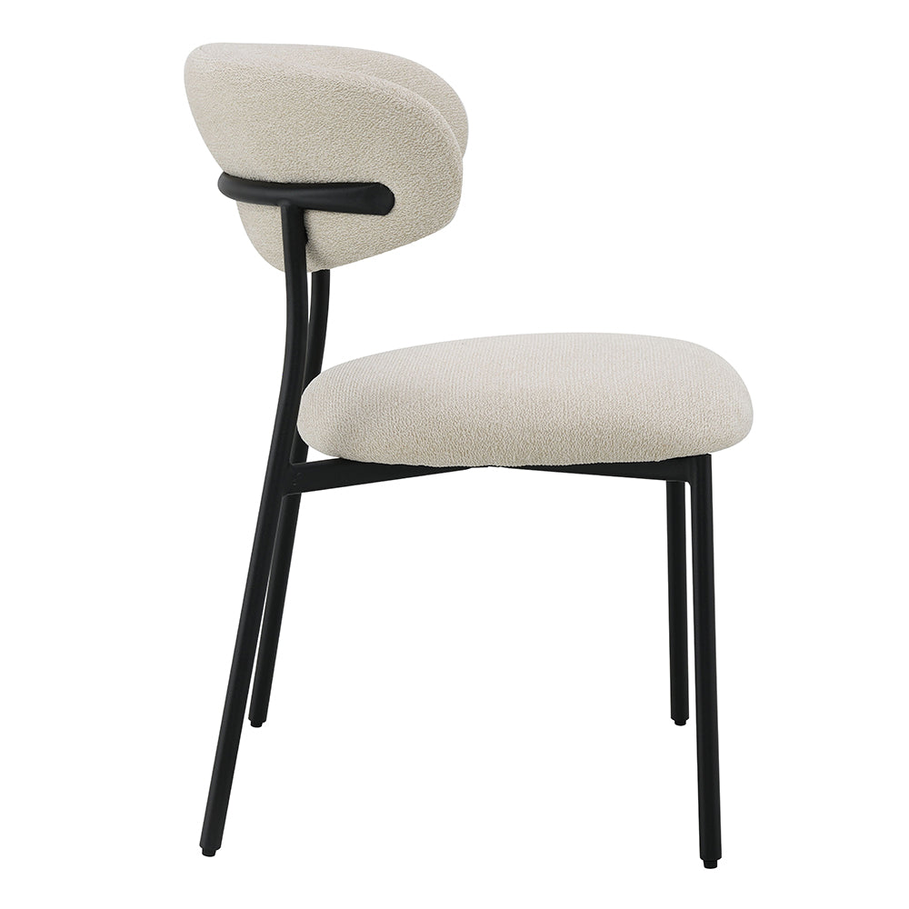 Jirina Side Chair (Set-2)