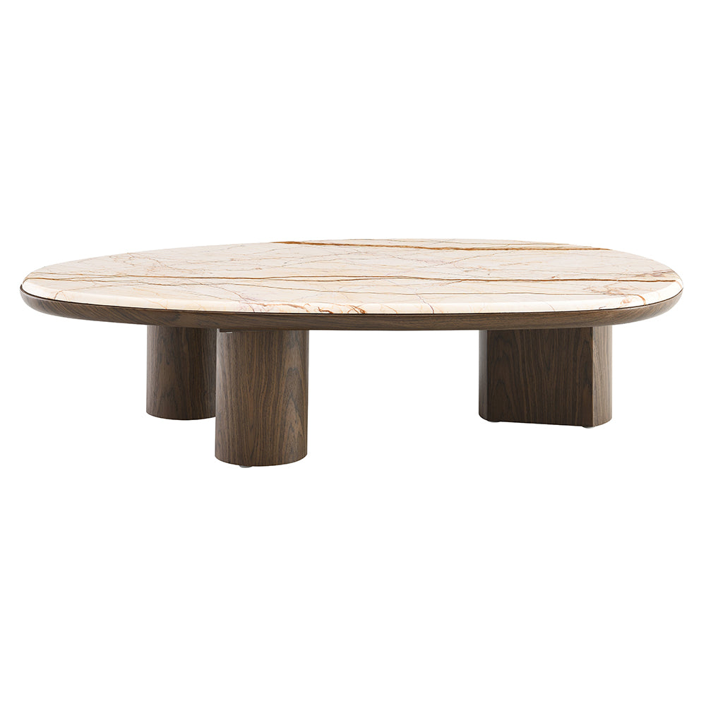 Haidar Coffee Table w/Natural Marble